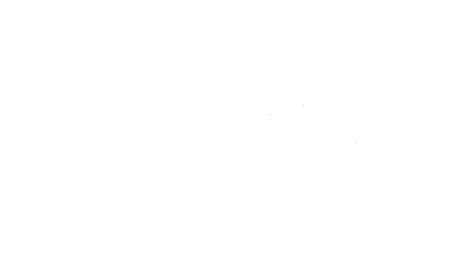Leggy2fast logo